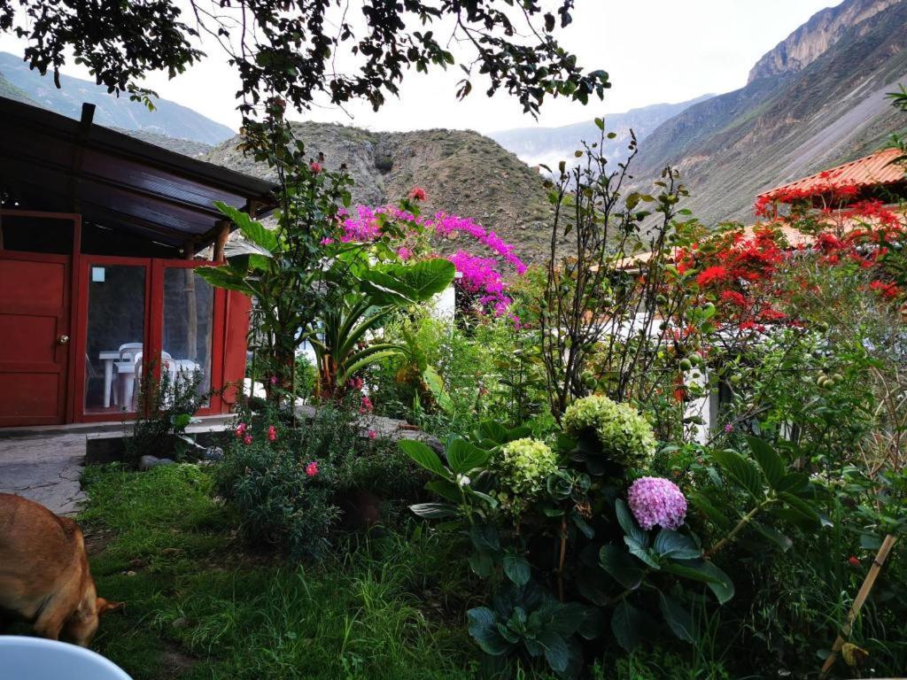 Casa De Virginia Villa Cabanaconde Exterior photo